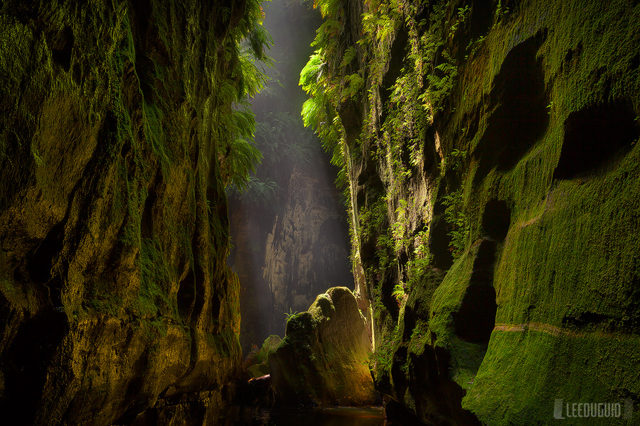 Claustral-Canyon-Blue-Mountains-National